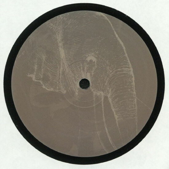 Byron The Aquarius / Cozy Bear / Glenn Davis / Unknown Artist - Champa (12")