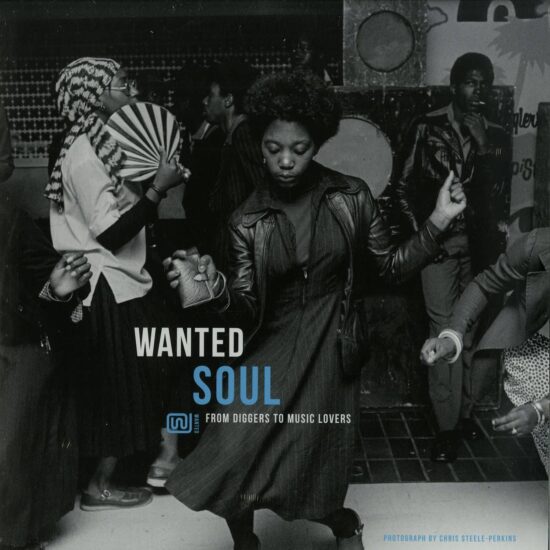 Various - From Diggers To Music Lovers - Wanted: Soul (LP)