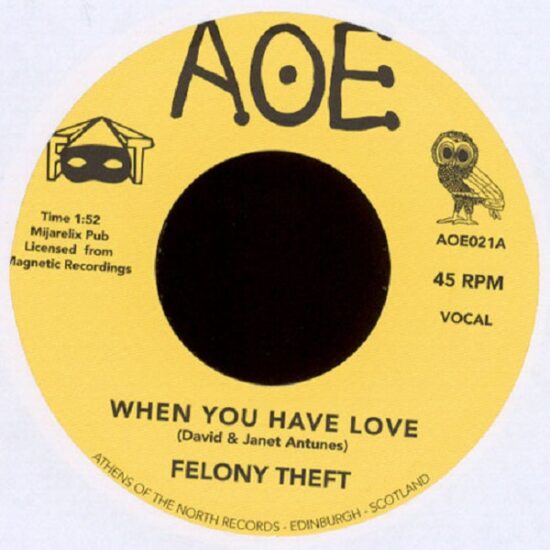 Felony Theft - When You Have Love (7")