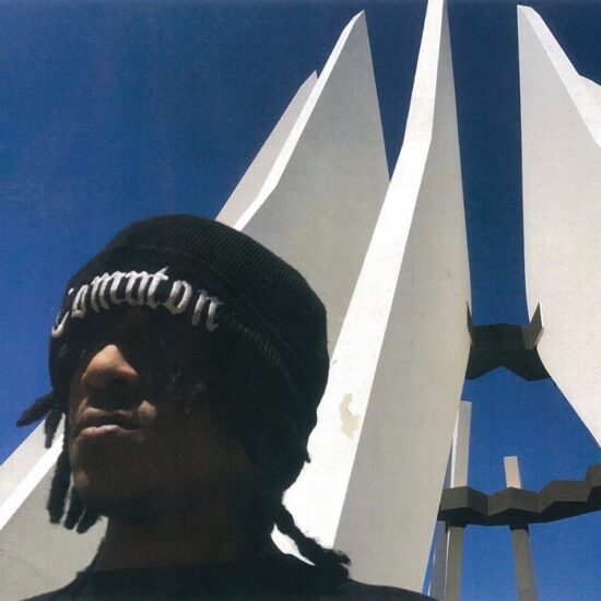 Ashtrejinkins - Fruit In Failure EP (12")