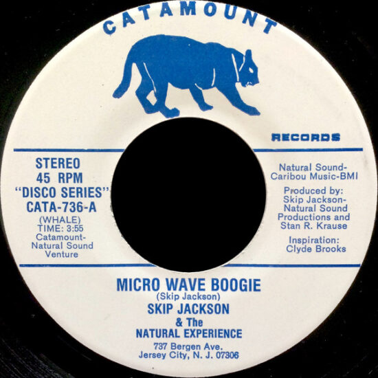 Skip Jackson & The Natural Experience - Micro Wave Boogie (7")