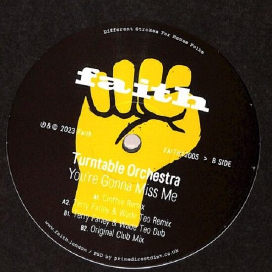 Turntable Orchestra - You're Gonna Miss Me (12")