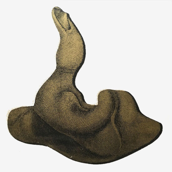 Les Gracies - Low Doses LP (2x12")