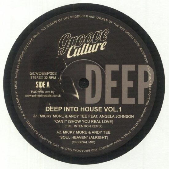 Various - Deep Into House Vol.1 (12")