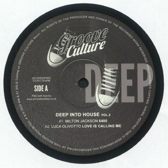 Various - Deep Into House Vol.2 (12")