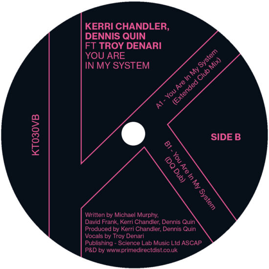 Kerri Chandler & Dennis Quin Ft Troy Denari - You Are In My System (12")