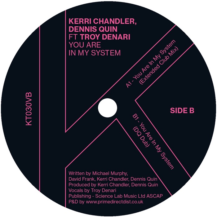 Kerri Chandler & Dennis Quin Ft Troy Denari - You Are In My System (12")