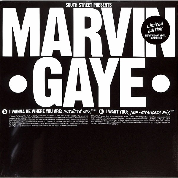 Marvin Gaye - I Wanna Be Where You Are / I Want You (12")