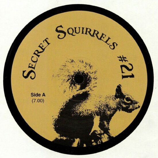 Secret Squirrel - Secret Squirrels #21 (12")