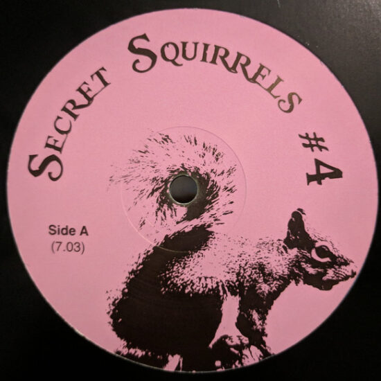 Secret Squirrel - Secret Squirrels #4 (12")
