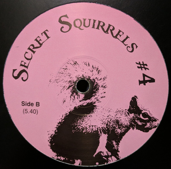 Secret Squirrel - Secret Squirrels #4 (12") - Image 2