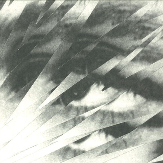 Fabio Monesi - Pipe Dreams EP (12")