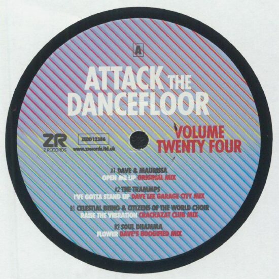 Various - Attack The Dancefloor Volume Twenty Four (12")